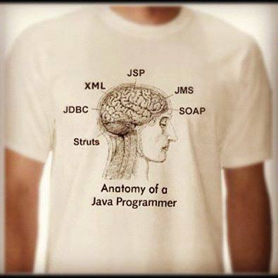 Anatomy of a Java Programmer